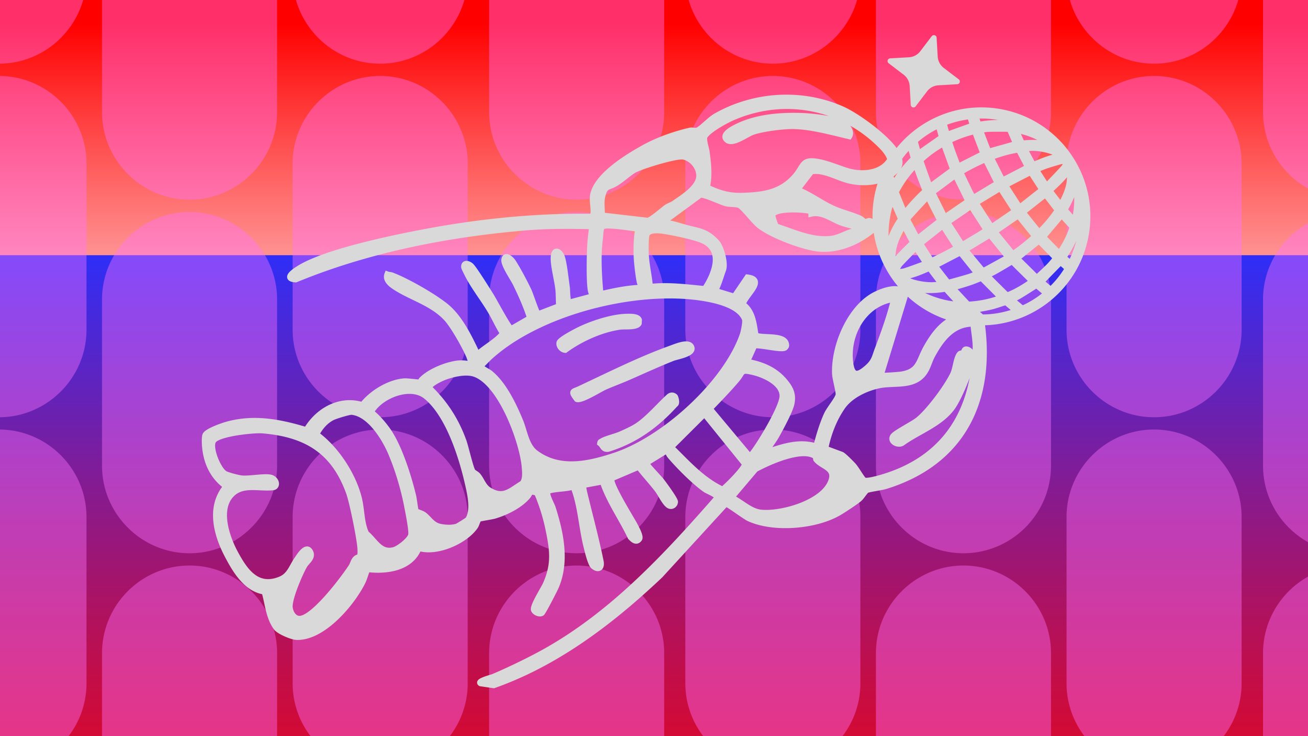 Disco Marisco